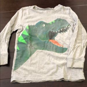 Rawr! Dinosaur graphic LS tee